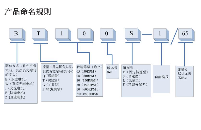 雷弗流量型智能蠕动泵BT100L(图1)